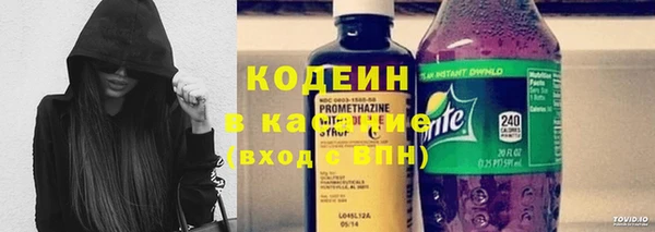 PSILOCYBIN Вяземский