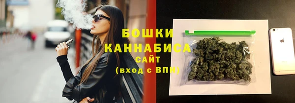 PSILOCYBIN Вяземский