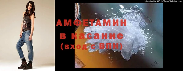 PSILOCYBIN Вяземский