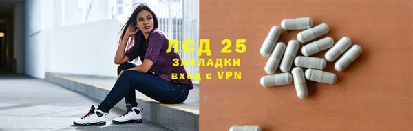 PSILOCYBIN Вяземский