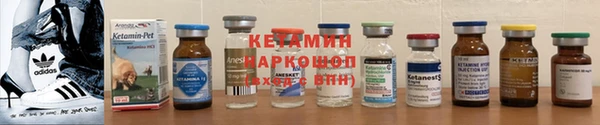 PSILOCYBIN Вяземский