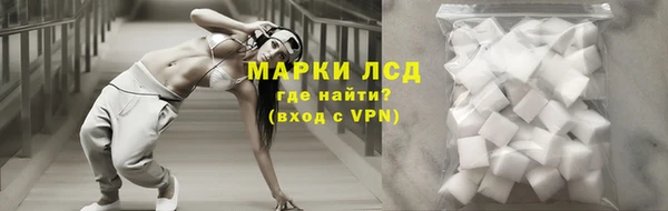 spice Верея