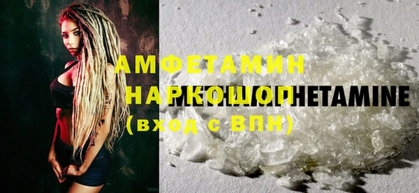 PSILOCYBIN Вяземский