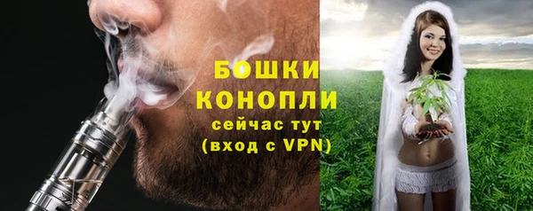 PSILOCYBIN Вяземский
