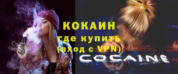 PSILOCYBIN Вяземский