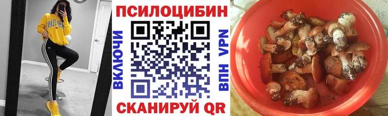 Псилоцибиновые грибы Psilocybine cubensis  цены   Зверево 